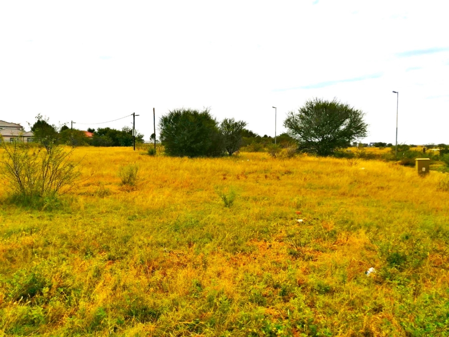 3 Bedroom Property for Sale in Raceway Free State